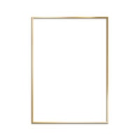gold frame