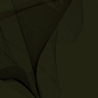 Olive Overture