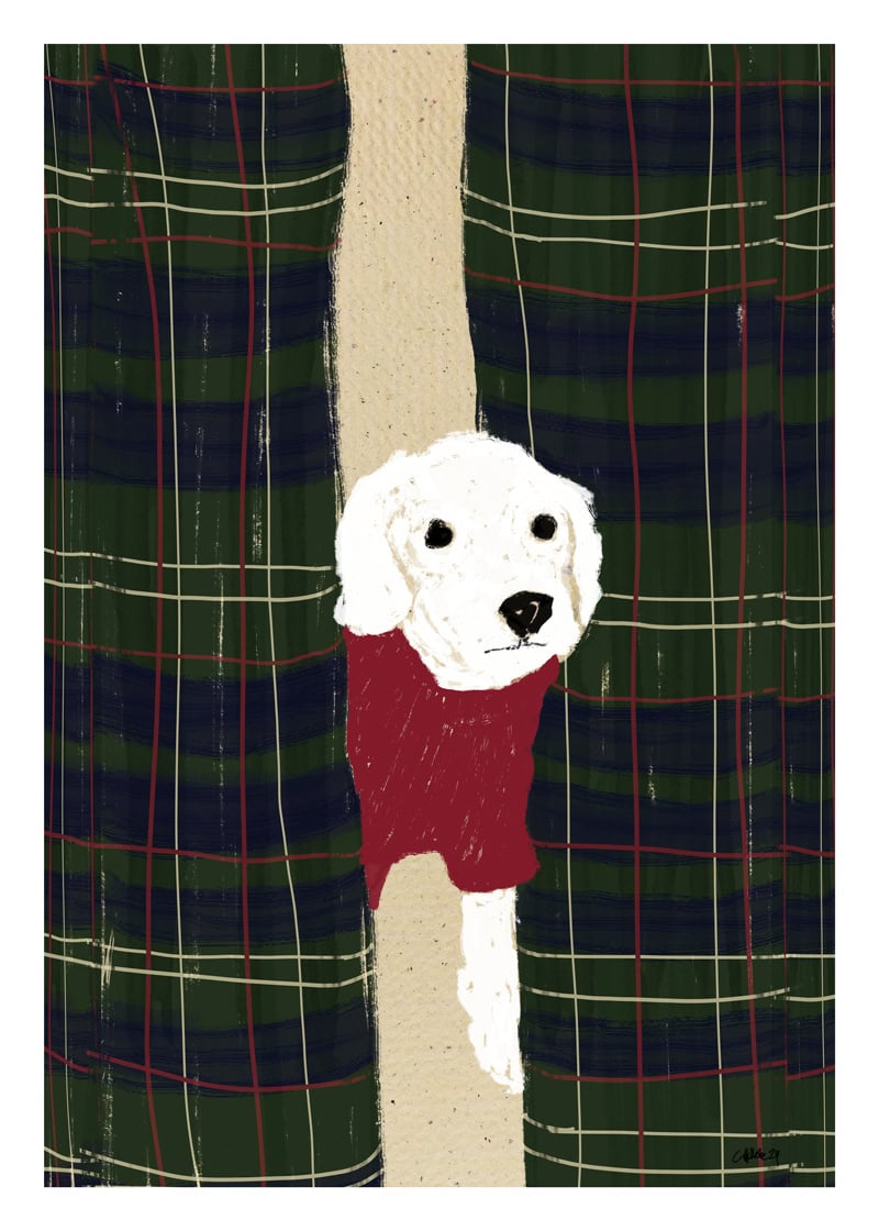 RL Dog 02