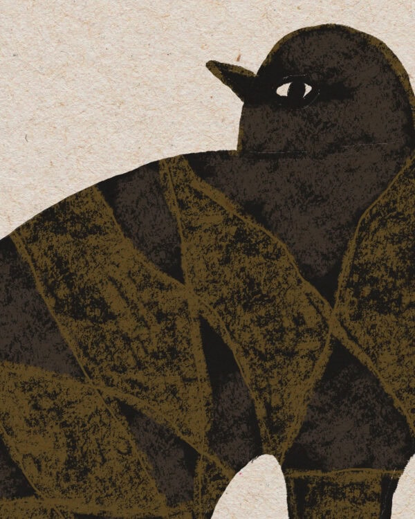 Big Bird 02