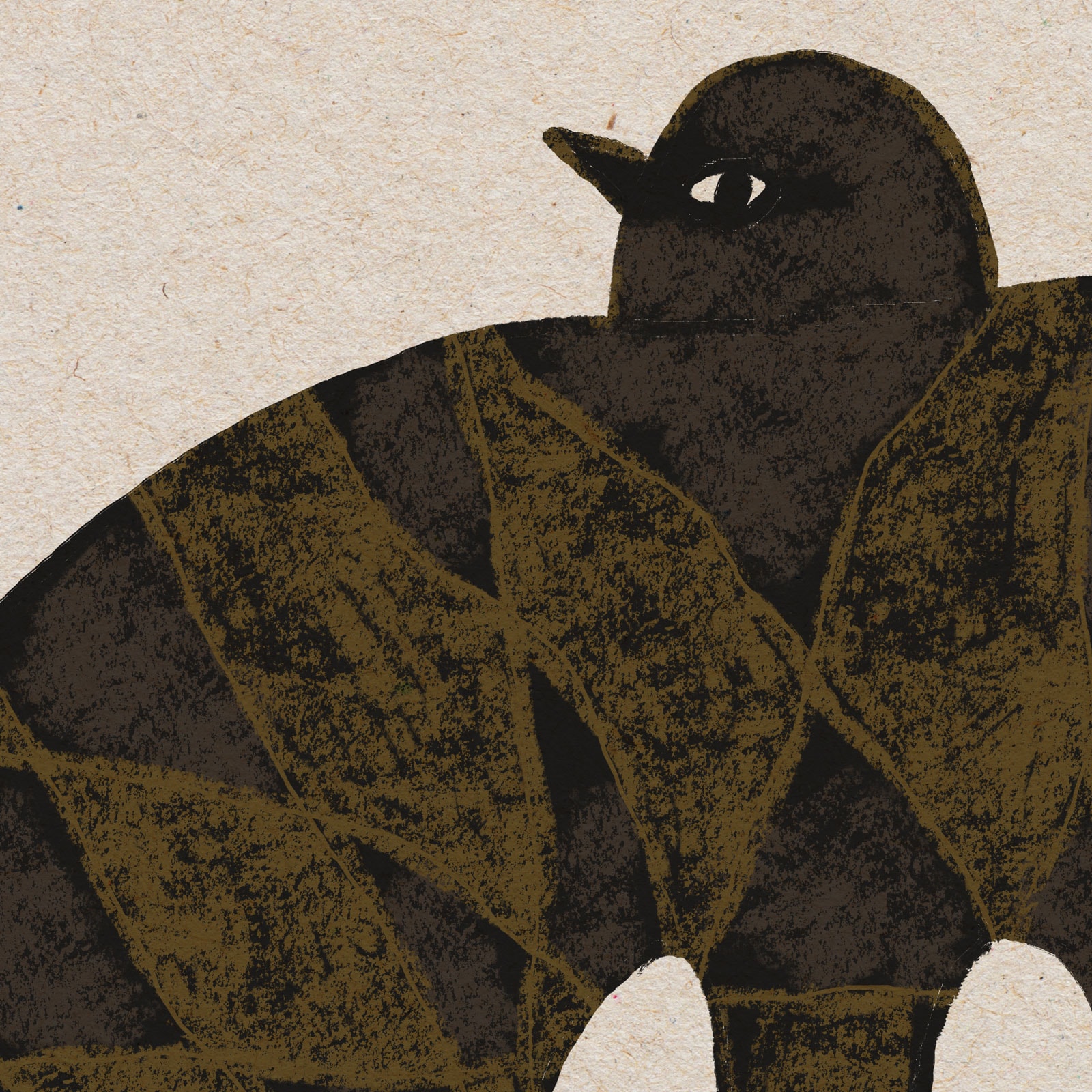 Big Bird 02