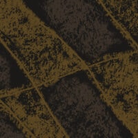 Big Bird Wing